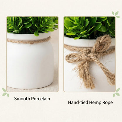 Faux Potted Succulent in a Matte Pot, 5.12 by 3.15 Inches - Image 5