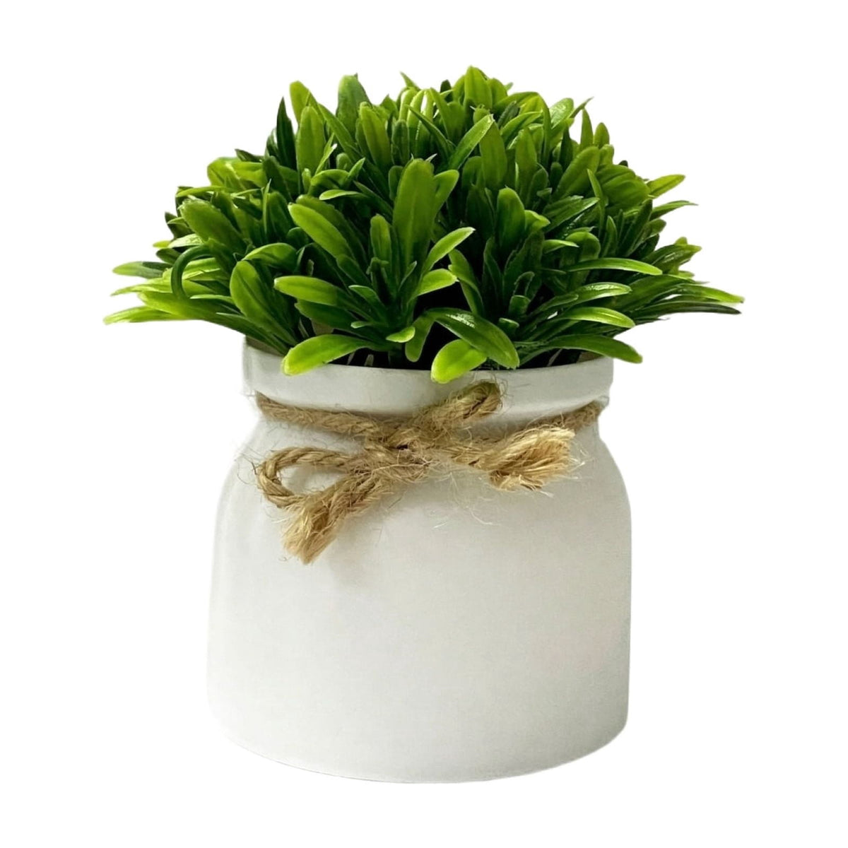 Faux Potted Succulent in a Matte Pot, 5.12 by 3.15 Inches