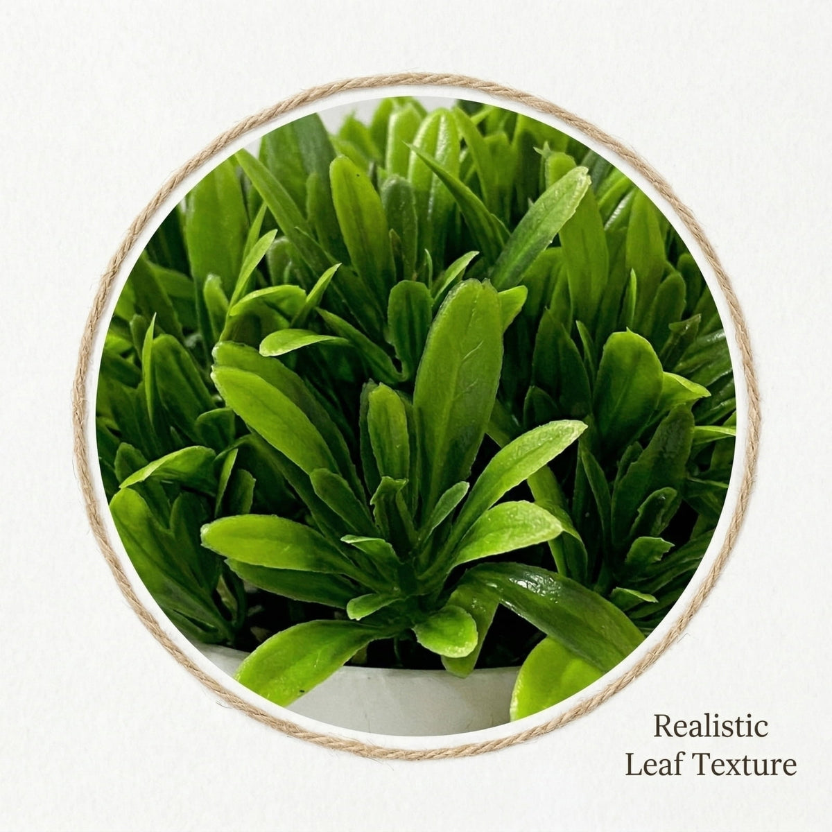 Faux Potted Succulent in a Matte Pot, 5.12 by 3.15 Inches - Image 3