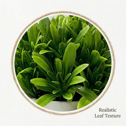 Faux Potted Succulent in a Matte Pot, 5.12 by 3.15 Inches - Image 3